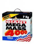 Joe Weider Giant Mega Mass 4000, 7000 g, MHD: 31.12.11