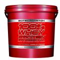 Scitec Nutrition 100% Whey Protein Professional, 5 kg Eimer
